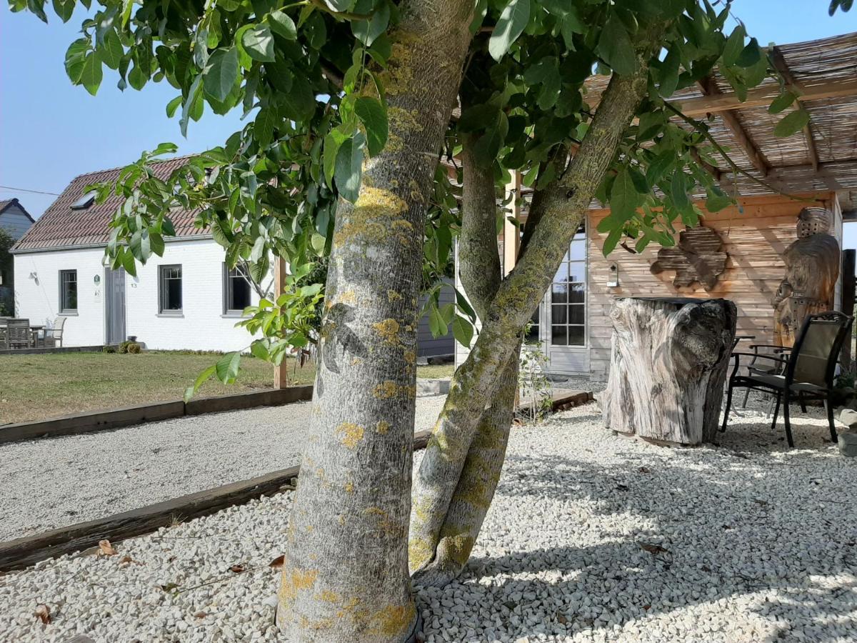Вилла La Petite Juliette Leuze-en-Hainaut Экстерьер фото