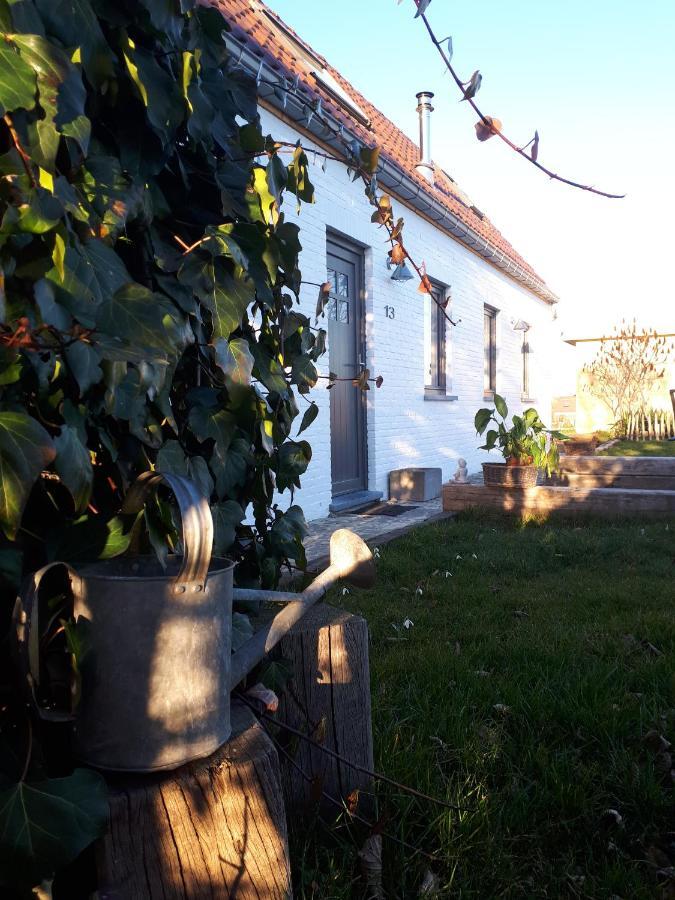 Вилла La Petite Juliette Leuze-en-Hainaut Экстерьер фото